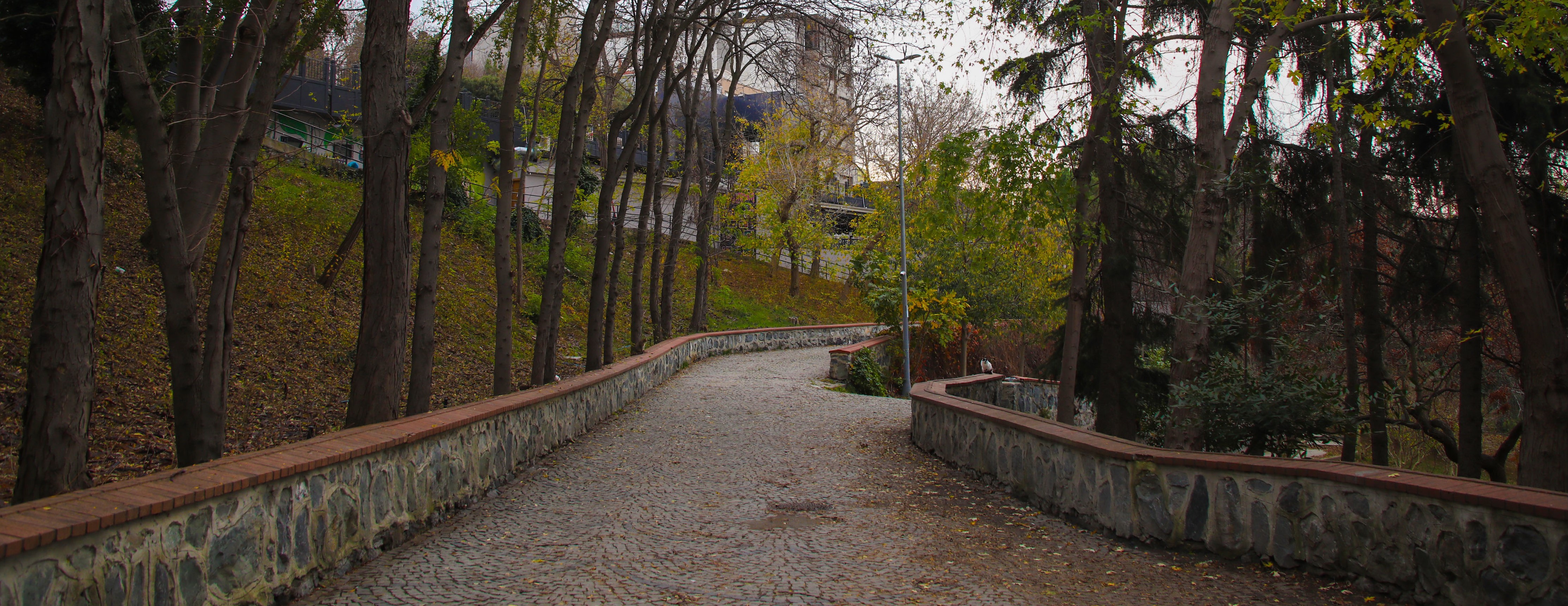 Maçka Demokrasi Parkı