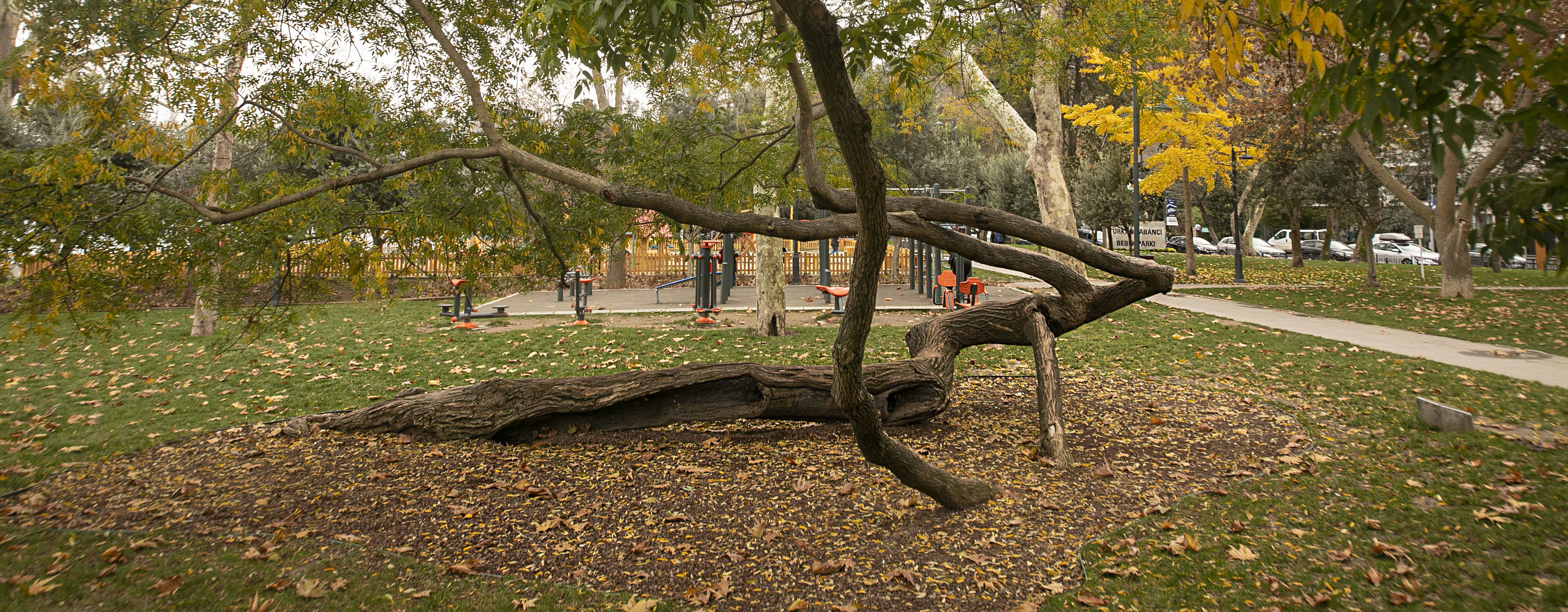 Türkan Sabancı Bebek Parkı 
