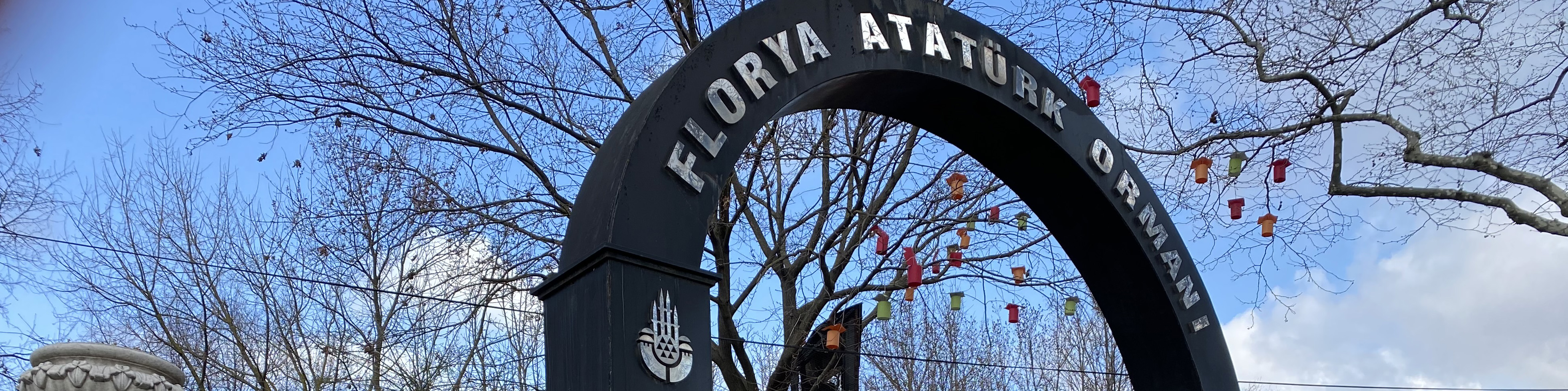 Florya Atatürk Ormanı Ekolojik Restorasyonu