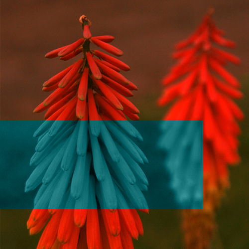 Sürdürülebilirlik