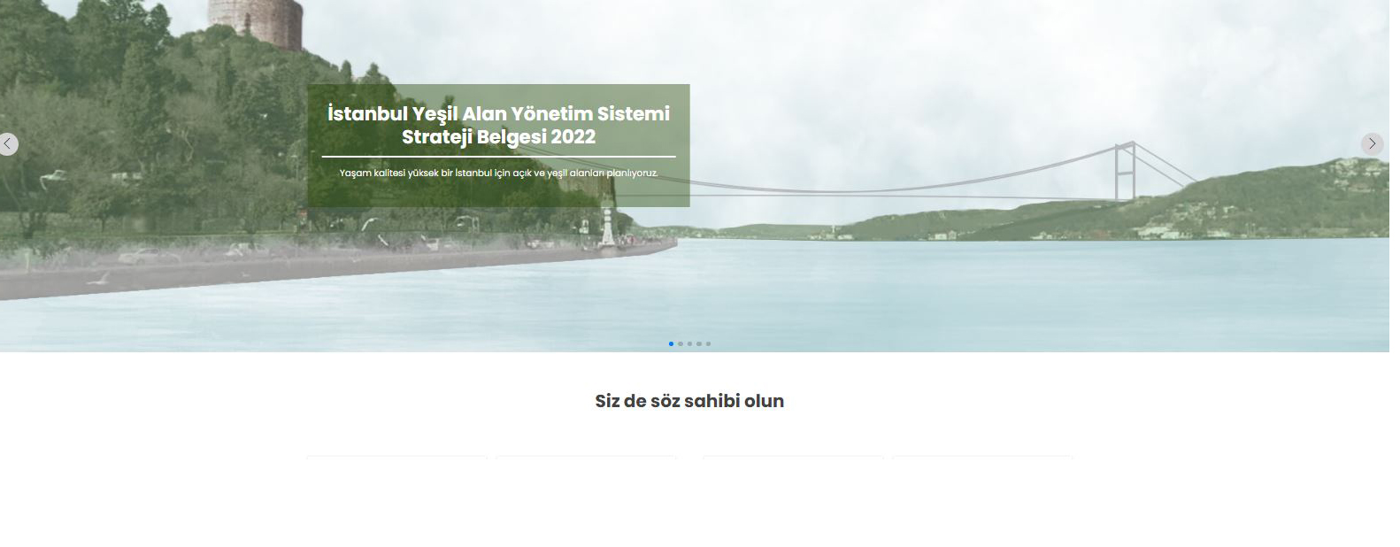 Yeşil Alan Yönetim Sistemi Strateji Belgesi