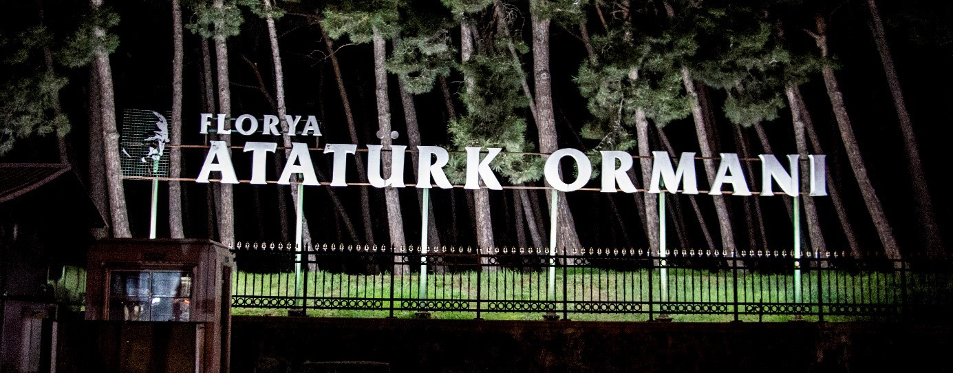 Florya Atatürk Ormanı Mimari Aydınlatması