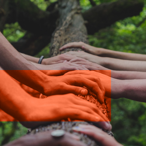 Toplumsal Katılımcılık