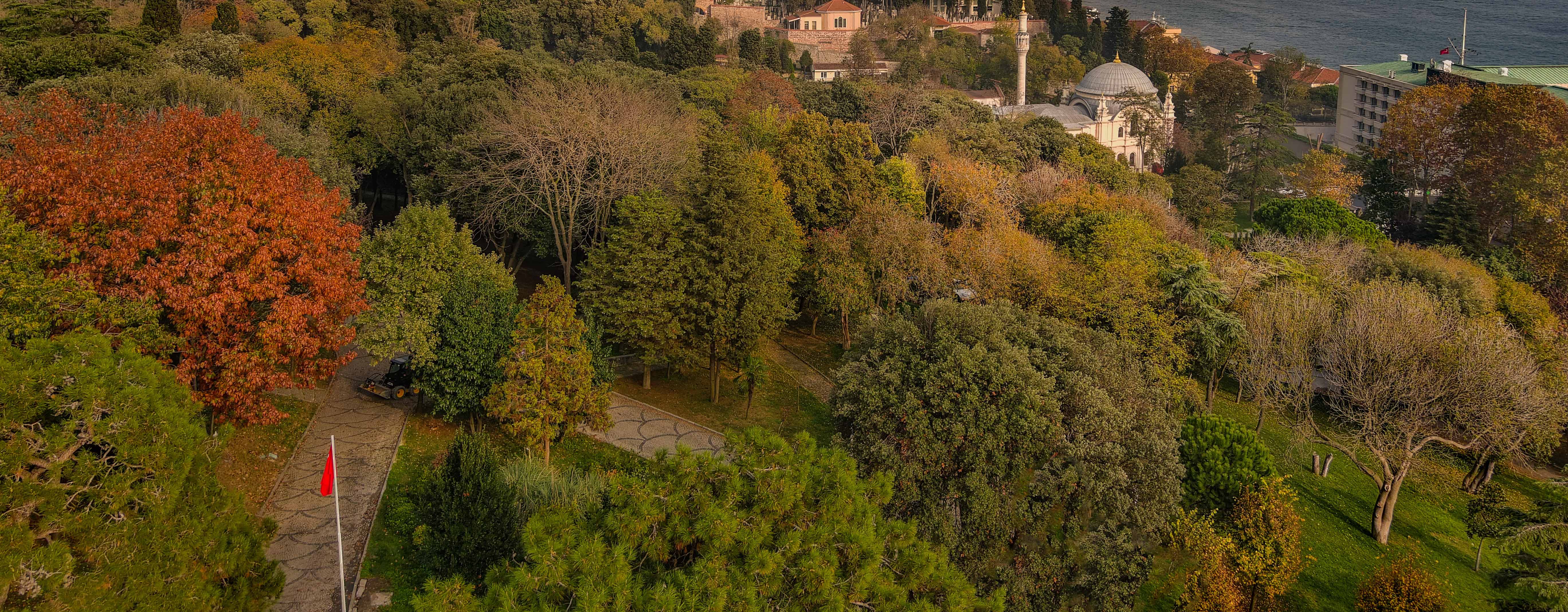 Tarihi Korular ve Kent Ormanlarında Yapılacak Faaliyetlere Ait İzin Prosedürü