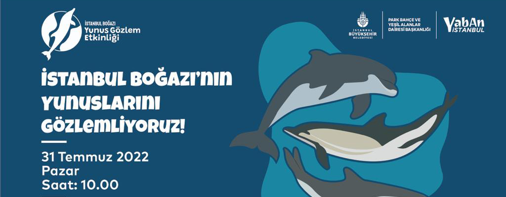 İstanbul Boğazı’nın Yunuslarını Gözlemliyoruz!