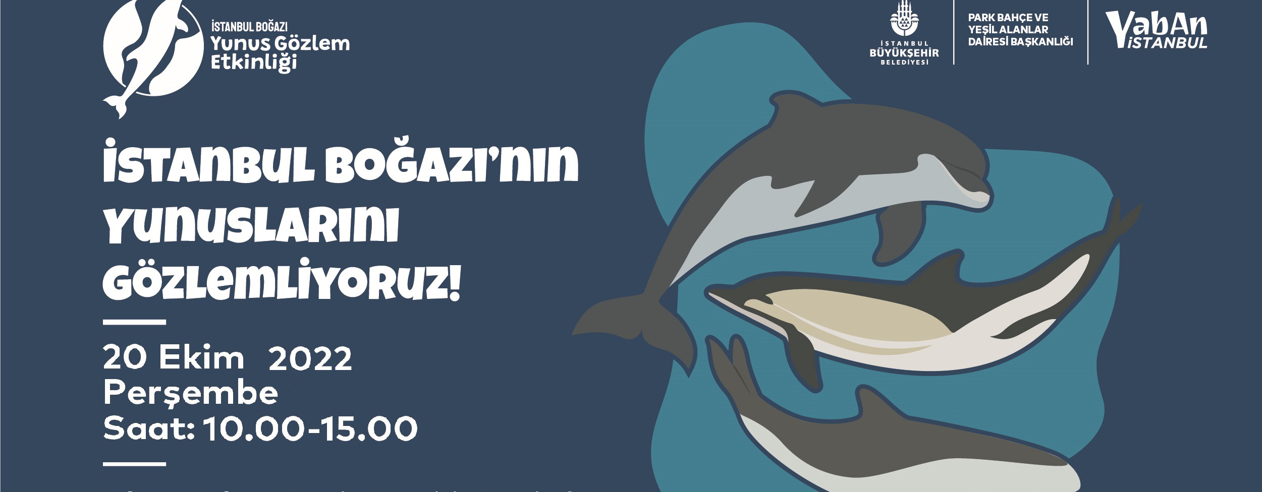 İstanbul Boğazı’nın Yunuslarını Gözlemliyoruz!