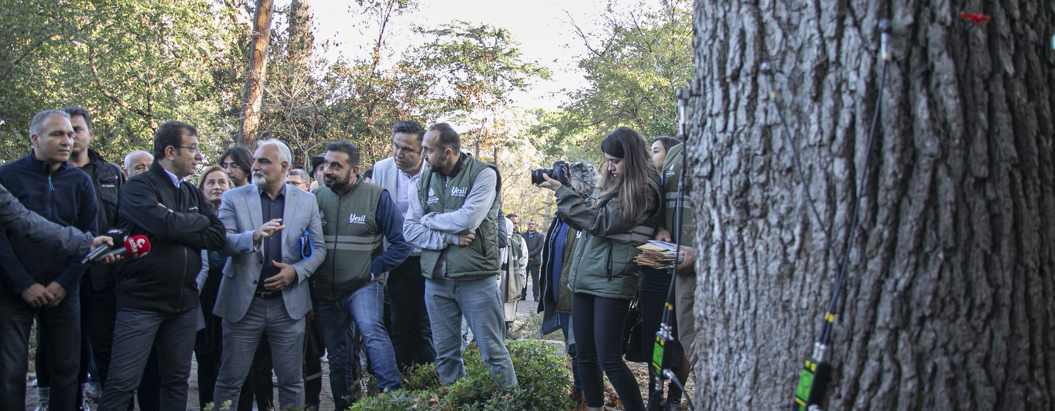 Küçük Çamlıca Korusu Ekolojik Restorasyon Yaklaşımıyla Yeni Baştan Düzenlendi