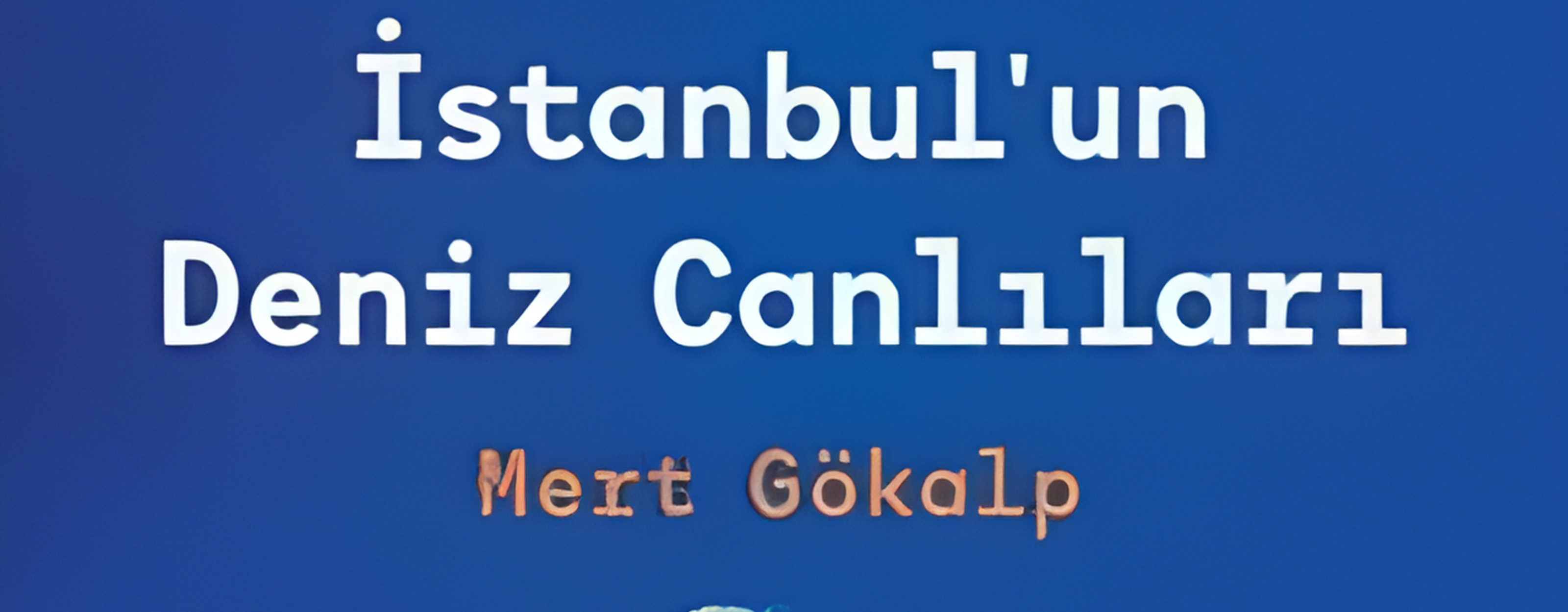 İstanbul'un Deniz Canlıları 