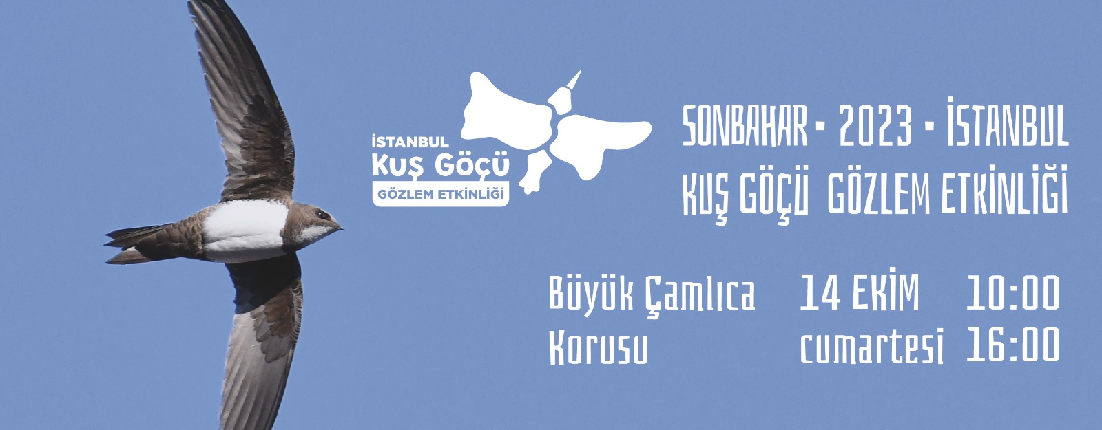 İstanbul Büyükşehir Belediyesi Dünya Göçmen Kuşlar Günü’nü Kutluyor 