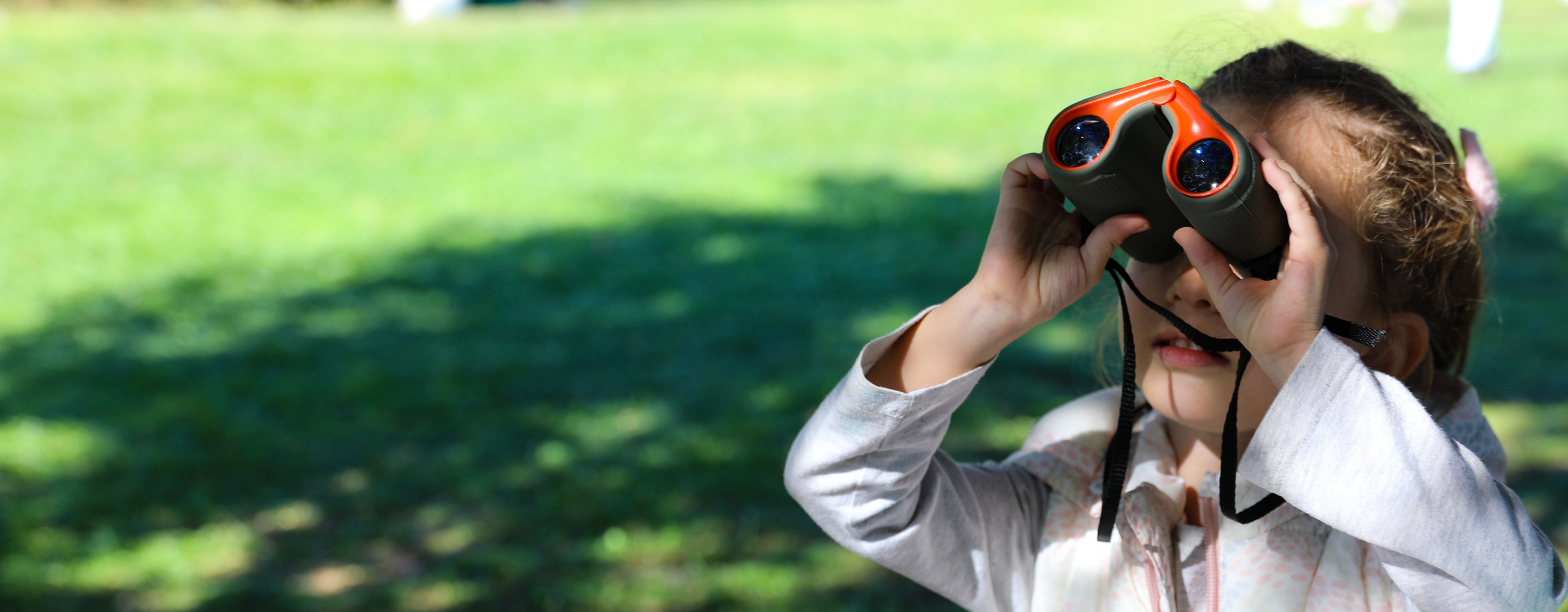 Büyük Çamlıca’da Kuş Göçü Şöleni 