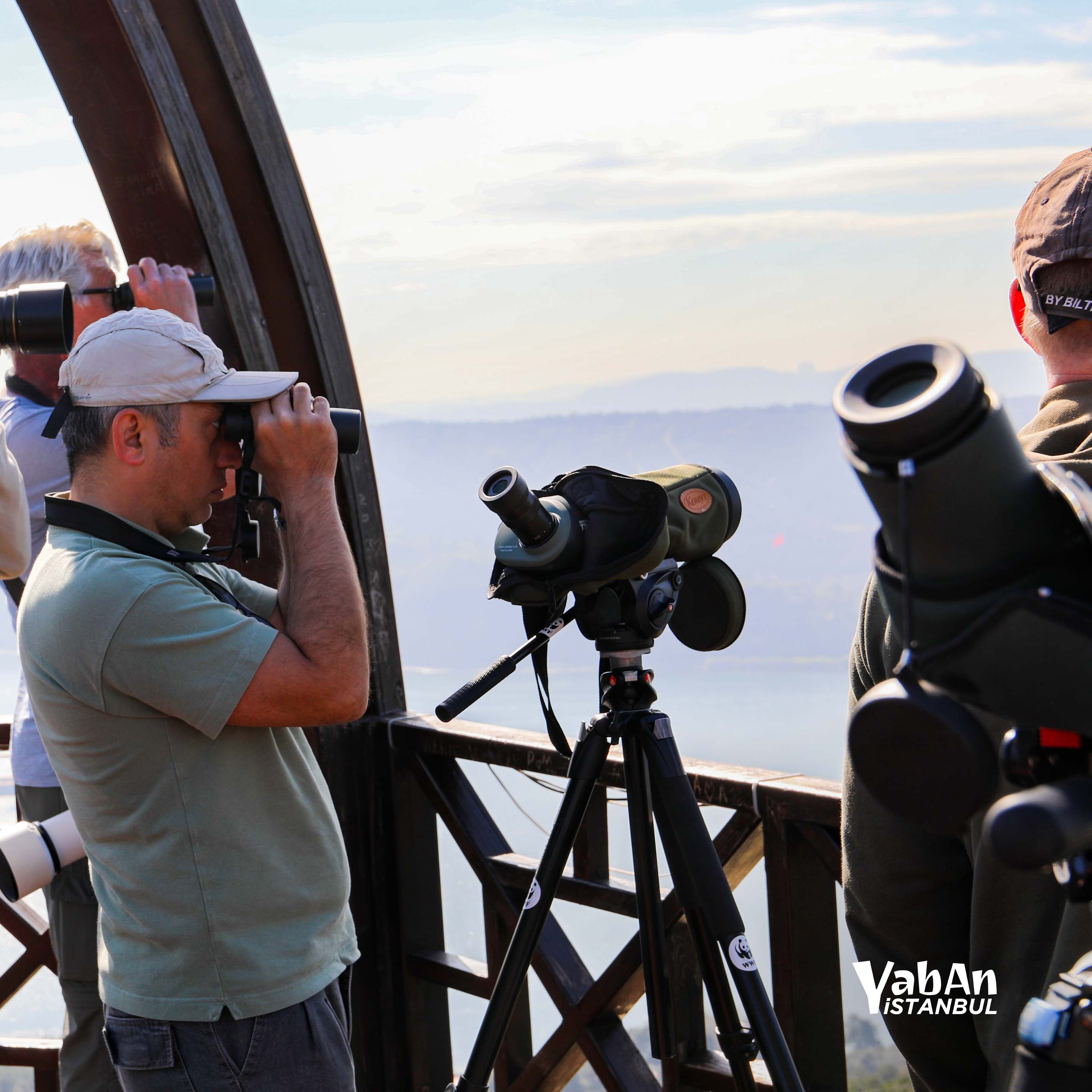 İstanbul Boğazı Yırtıcı Kuş Sayımı