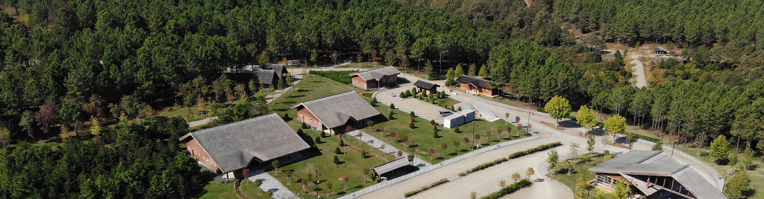 Kemerburgaz Kent Ormanı 